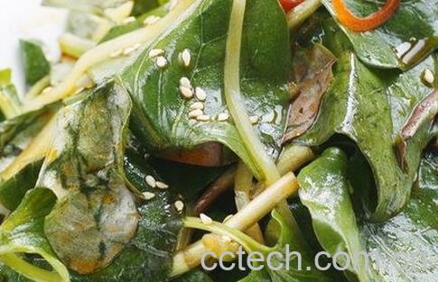 折耳叶的作用是什么-0