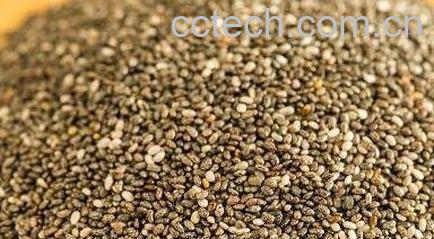 长期吃奇亚籽的功效-0