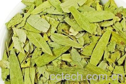 番泻叶的药用价值与功效-0