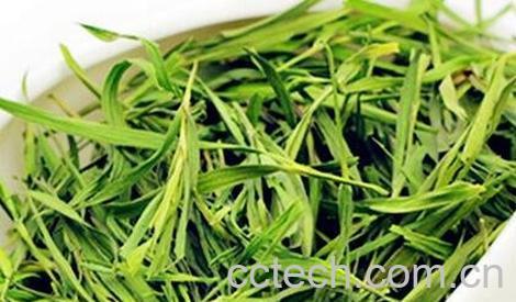 中草药淡竹叶的功效与作用-0