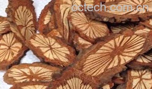 中药大血藤的功效与作用及禁忌-0