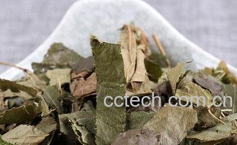  炙羊藿叶的功效与作用-0