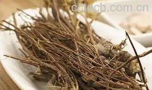 枸杞根的药用价值与功效-0