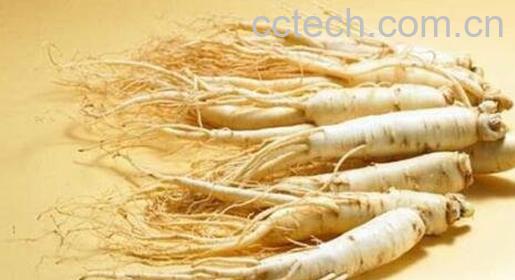 人参怎么吃效果好-0