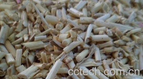 茅根的药用功效与作用-0