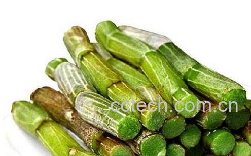 铁皮枫斗的食用方法与食用禁忌-0