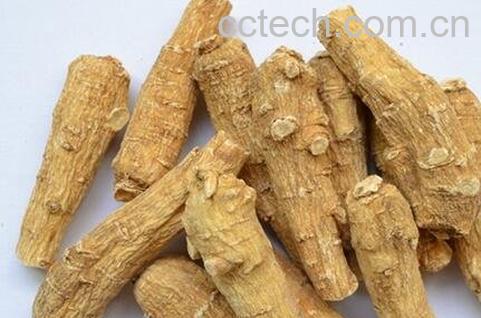 花旗参怎么吃 吃花旗参的好处-0