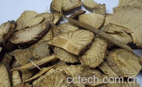 钻风藤的功效与作用-0