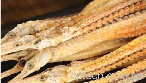 海龙泡酒的功效与泡法-0