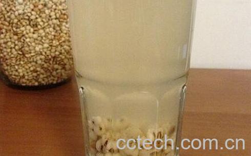 薏米水能天天喝吗-0