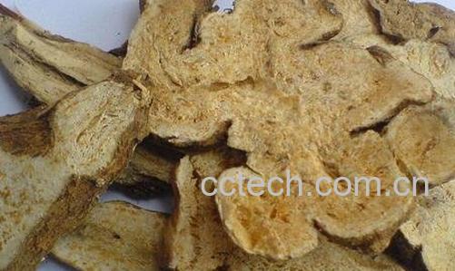  白术的炮制方法-0