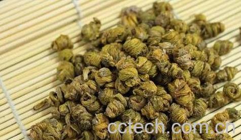 铁皮枫斗的功效与作用-0