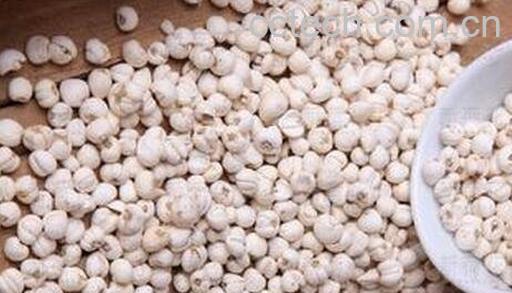 川贝的功效与作用-0