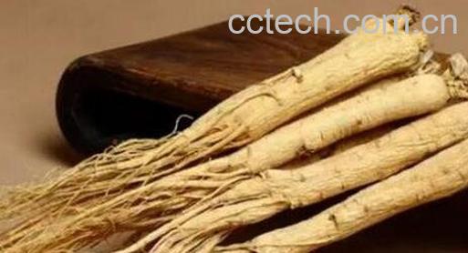 孕妇能吃人参吗-0