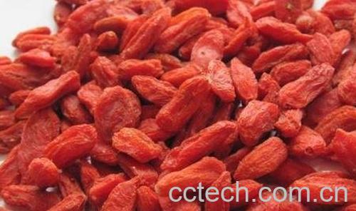 枸杞子的副作用与食用禁忌-0