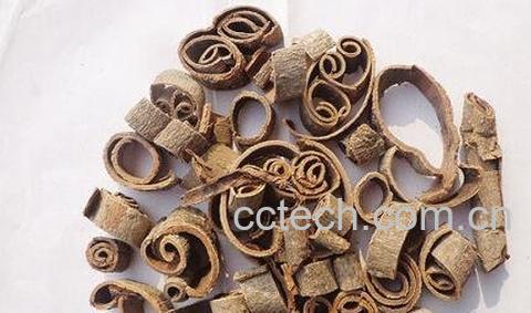 厚朴的性状鉴别与分类-0