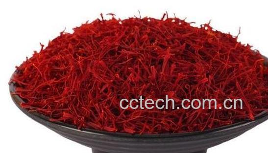 藏红花和红花的区别-0