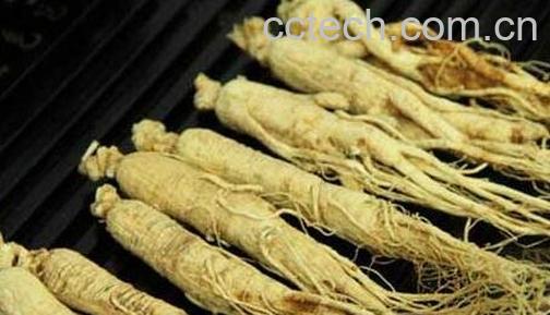 生晒参的吃法与功效-0