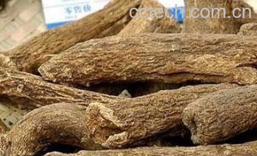 木香的药用功效与作用-0