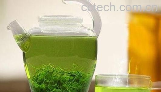 绞股蓝泡水喝的禁忌-0