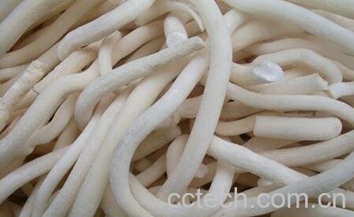 通脱木是什么-0