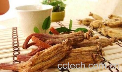 高丽参的功效与作用-0