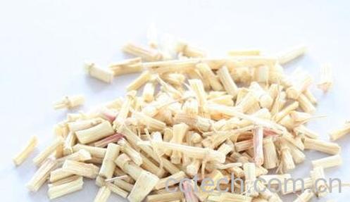 白茅根的药用价值与功效-0