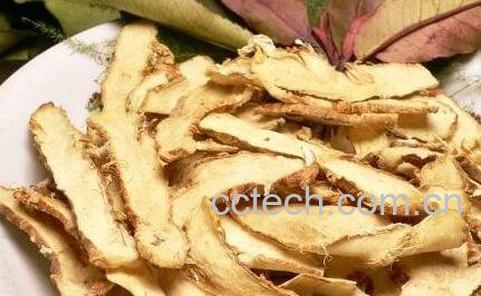 知母的药用价值与功效-0