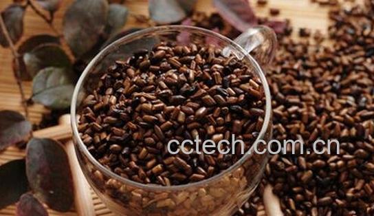 决明子的副作用-0