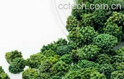 果蔬百科田七花的功效与作用-0