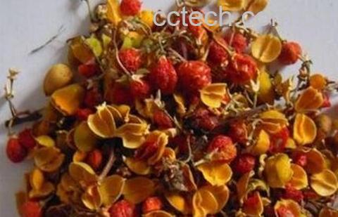 果蔬百科合欢花泡水喝的好处与坏处-0