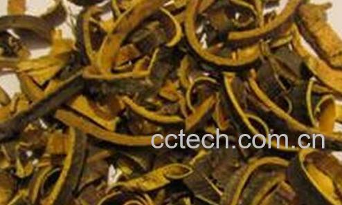 果蔬百科 黄柏的功效与用法-0