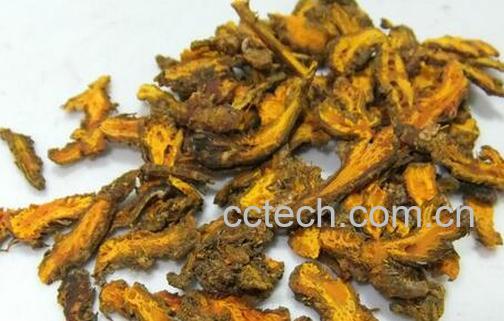 果蔬百科黄连的副作用-0