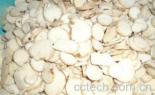 果蔬百科赤白芍的功效与作用-0