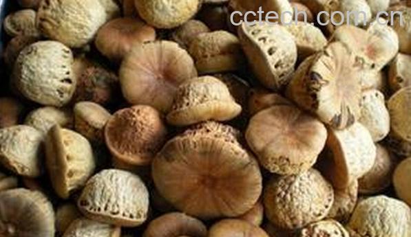 果蔬百科壮阳果-0