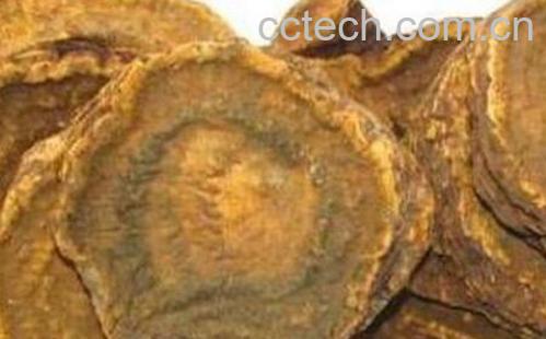 果蔬百科 熟大黄的功效与作用-0