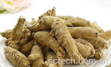 果蔬百科花旗参的功效与作用-0