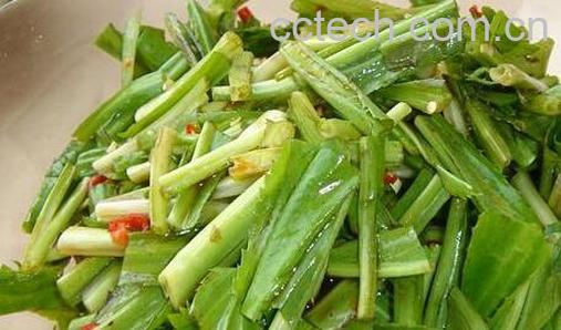 果蔬百科野芫荽的功效与作用-0