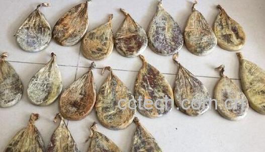 果蔬百科熊胆的功效与作用-0