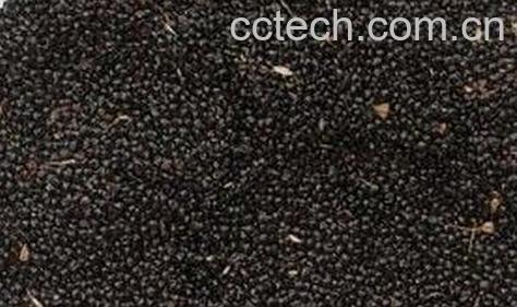 果蔬百科青葙子的功效与作用-0