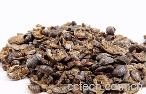 果蔬百科鼠妇虫的功效与作用-0