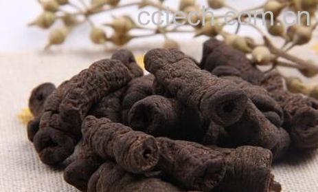 果蔬百科制巴戟天的功效与作用-0