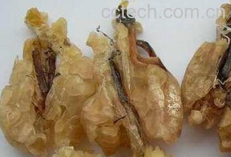 果蔬百科 林蛙油的功效与作用-0