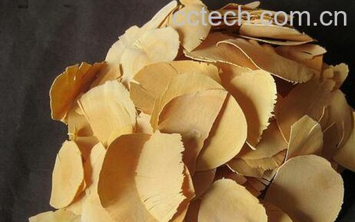 果蔬百科东革阿里的功效与作用-0