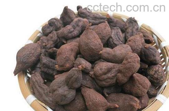 果蔬百科何首乌的副作用-0