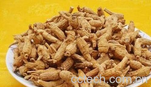 果蔬百科吃西洋参的好处有哪些-0