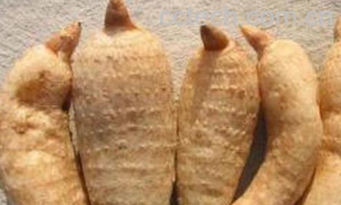 果蔬百科天麻怎么挑选-0