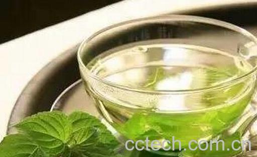 果蔬百科薄荷叶泡水喝的好处与坏处-0