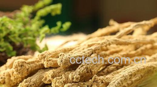 果蔬百科吃党参的好处-0