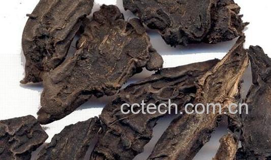 果蔬百科草乌的药用价值与功效-0